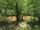 Scenic backyard view of a lush wooded area with a flowing river, enhancing privacy and natural beauty at 3809 Cotswold Sw Dr, Lilburn, GA 30047