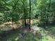 Scenic backyard view of a lush wooded area with a flowing river, enhancing privacy and natural beauty at 3809 Cotswold Sw Dr, Lilburn, GA 30047
