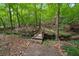 Scenic backyard features a charming wooden bridge over a small stream at 1348 Bridgemill Ave, Canton, GA 30114