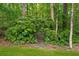 Mature foliage covers a walkway with an iron gate along perimeter at 1348 Bridgemill Ave, Canton, GA 30114