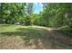 Leafy yard provides a sense of privacy and offers ample space for outdoor enjoyment at 1095 Dallas Nebo Rd, Dallas, GA 30157