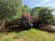 Private backyard with a wooden deck, lush landscaping, and a tranquil, natural setting at 257 Juliet Dr, Hampton, GA 30228