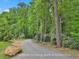 Scenic golf cart path surrounded by lush greenery and tall trees at 1240 Hayes Sq, Peachtree City, GA 30269