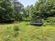 A backyard with tall green grass, greenery, trees and an overgrown trampoline feature at 554 Oak Landing Cir, Douglasville, GA 30134