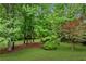 Picturesque backyard with mature trees and landscaped areas, creating a private and serene outdoor space at 140 Emily Sw Dr, Lilburn, GA 30047