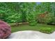 Backyard patio with lush green lawn and various trees and bushes including a Japanese Maple at 140 Emily Sw Dr, Lilburn, GA 30047