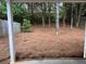 View of the backyard with trees, covered in pine straw, and a partial view of a covered patio at 218 Osmanthus Way, Canton, GA 30114