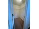 Walk-in closet with neutral carpet, wire shelving, and ample storage space at 218 Osmanthus Way, Canton, GA 30114