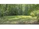 Large, grassy backyard surrounded by trees at 544 W Macedonia Church Rd, Oxford, GA 30054