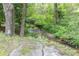 Peaceful creek surrounded by lush greenery and trees at 544 W Macedonia Church Rd, Oxford, GA 30054