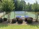 Community pickleball courts with manicured landscaping and shrubbery around the perimeter at 1481 Highway 85 Connector, Brooks, GA 30205