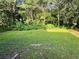 Lush green backyard featuring a mix of grass, shrubs, and mature trees, providing a serene outdoor space at 3366 College St, College Park, GA 30337