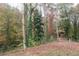 Lush backyard featuring mature trees at 618 Old Doss Dr, Canton, GA 30115
