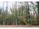 Large wooded lot surrounding the home offering privacy and scenic views at 618 Old Doss Dr, Canton, GA 30115