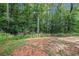 Large backyard showing wooded boundary at 741 Jackson Ct, Social Circle, GA 30025
