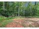 Lush backyard with dense trees and a concrete pad ready for outdoor enjoyment at 741 Jackson Ct, Social Circle, GA 30025