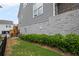 Backyard with lush greenery and professional landscape maintenance at 2003 Haley Walk, Woodstock, GA 30188