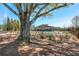 Scenic common area with a large tree and a relaxing swing, ideal for enjoying nature at 2003 Haley Walk, Woodstock, GA 30188