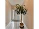 Bright entryway with tiled floor and decorative plant, leading to a welcoming interior at 2694 Sterling Dr, Lawrenceville, GA 30043