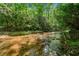 Scenic creek surrounded by blooming bushes offers a tranquil and picturesque landscape at 500 Nolan Rd, Carrollton, GA 30116