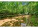 Serene creek surrounded by lush greenery provides a tranquil natural setting at 500 Nolan Rd, Carrollton, GA 30116