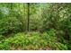 Lush greenery surrounds the property, offering privacy and a serene natural setting at 500 Nolan Rd, Carrollton, GA 30116