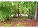 Backyard with a fenced-in view of the river with foliage at 138 Knightwood Pt, Acworth, GA 30101