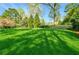 Lush green backyard with a large expanse of grass, mature trees, and manicured hedges at 3382 Habersham Rd, Atlanta, GA 30305