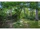Lush backyard with natural landscaping, mature trees, and a secluded, serene setting at 2175 Fisher Ne Trl, Atlanta, GA 30345