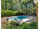 Backyard swimming pool with chairs in a lush green setting with mature trees and greenery at 3456 Paces Nw Pl, Atlanta, GA 30327
