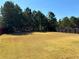 Expansive backyard with lush green grass and a dark wooden fence lined with trees at 457 Panhandle Pl, Hampton, GA 30228