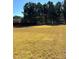 A vast backyard featuring a lush green lawn bordered by trees and a wooden fence at 457 Panhandle Pl, Hampton, GA 30228