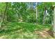 View of the lush green backyard and mature trees, creating a serene setting at 2180 Rexford Dr, Decatur, GA 30034