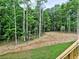 View of the home's backyard featuring a tree line and freshly laid straw at 3730 Reserve Overlook (Lot 8) Way, Cumming, GA 30041