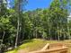The wood deck overlooks the backyard featuring mature trees and serene natural beauty at 3730 Reserve Overlook (Lot 8) Way, Cumming, GA 30041