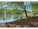 Scenic lake view with geese on the shore and a fountain in the distance at 3927 Collier Nw Trce, Kennesaw, GA 30144
