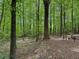 This wooded backyard provides a private, serene retreat at 712 Honeysuckle Ln, Temple, GA 30179