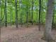 The backyard features a picnic table and mature trees within the forest at 712 Honeysuckle Ln, Temple, GA 30179
