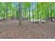 Wooded backyard featuring multiple sheds and seating areas at 712 Honeysuckle Ln, Temple, GA 30179