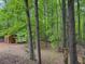 A lush backyard offers a serene, wooded setting with a storage shed at 712 Honeysuckle Ln, Temple, GA 30179