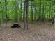 The backyard features a picnic table among mature trees in the forest at 712 Honeysuckle Ln, Temple, GA 30179