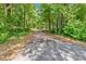 Paved driveway through a lush green forest, offering privacy and a scenic entrance to the property at 712 Honeysuckle Ln, Temple, GA 30179