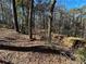 View of the natural landscaping of the wooded backyard with sparse ground cover leading to the water's edge at 1053 Allgood Rd, Stone Mountain, GA 30083