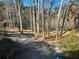 View of long driveway winding past trees at 1053 Allgood Rd, Stone Mountain, GA 30083