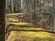 Mossy bank of the lake is on display, highlighting waterfront views with a peaceful, natural ambiance at 1053 Allgood Rd, Stone Mountain, GA 30083