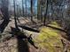 Picturesque scene with pond view from the path at 1053 Allgood Rd, Stone Mountain, GA 30083