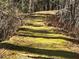 Lush green path through the wooded landscape at 1053 Allgood Rd, Stone Mountain, GA 30083