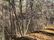 Scenic view of the water near the trees at 1053 Allgood Rd, Stone Mountain, GA 30083