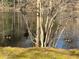 Scenic pond view featuring wild geese in their natural habitat at 1053 Allgood Rd, Stone Mountain, GA 30083
