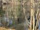 Scenic pond view, featuring peaceful water reflecting the trees at 1053 Allgood Rd, Stone Mountain, GA 30083